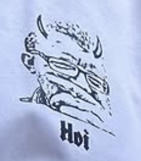 dubisteinwichser.de Logo